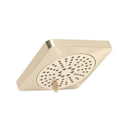 5 6-Function Showerhead